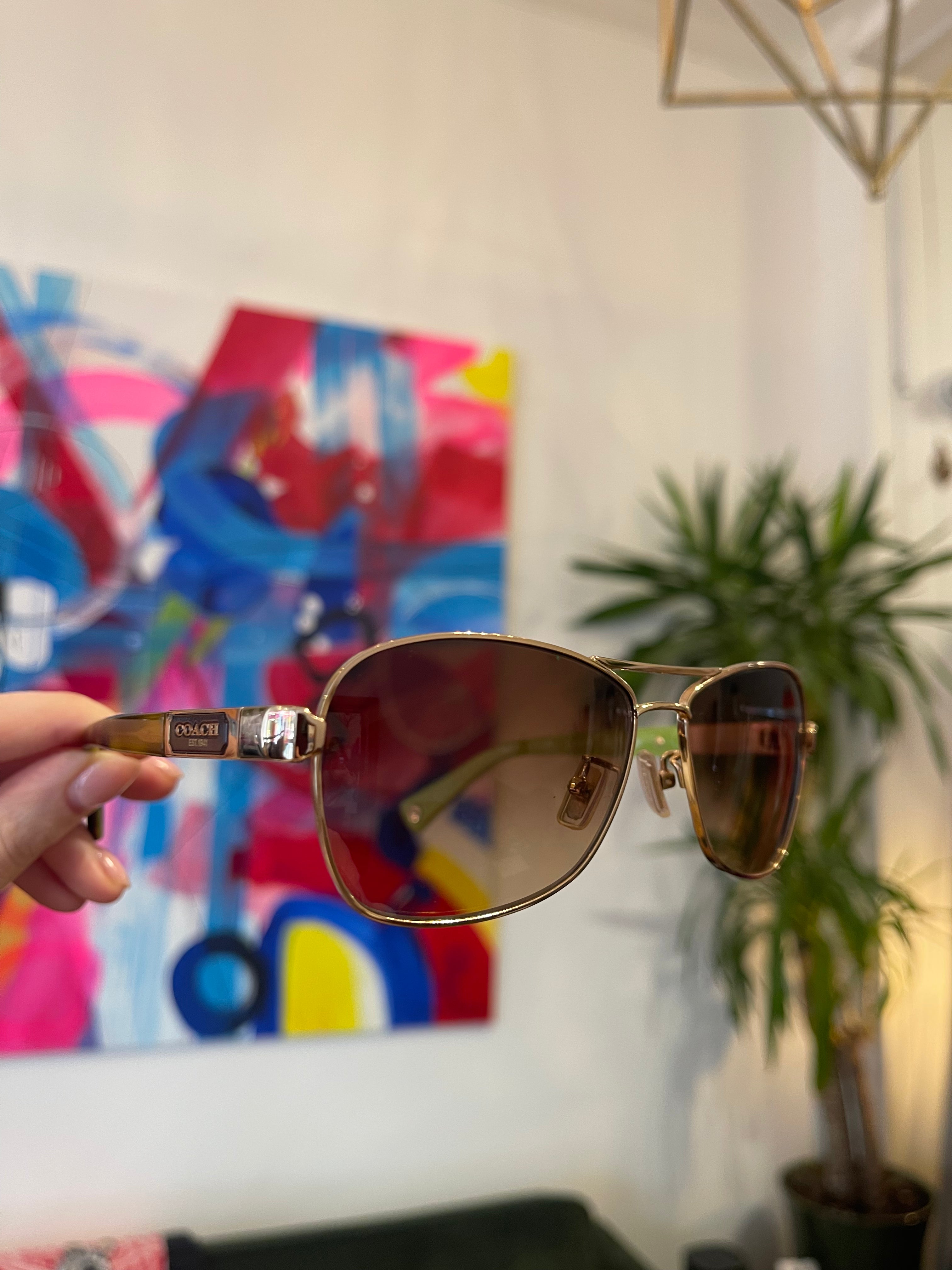 Geometric Cat Eye Sunglasses Dark Tortoise Coach main image 1