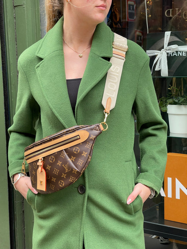 Louis Vuitton Monogram Canvas High Rise Bumbag