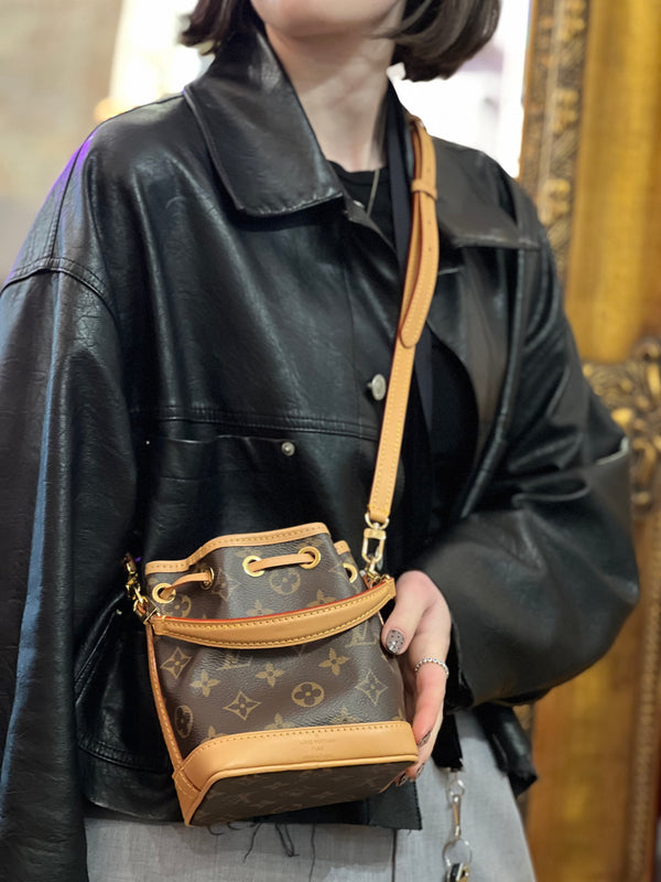 Louis Vuitton Monogram Canvas Nano Noé Bucket Bag